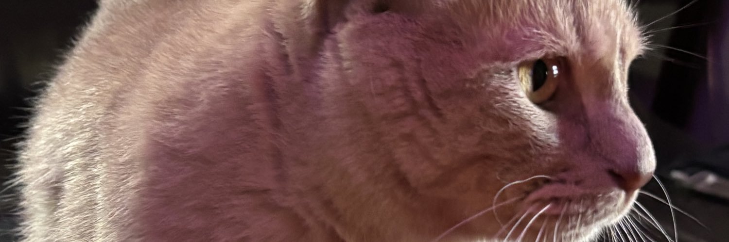 Casperino98's profile banner image