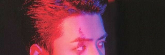 daniel sg banner