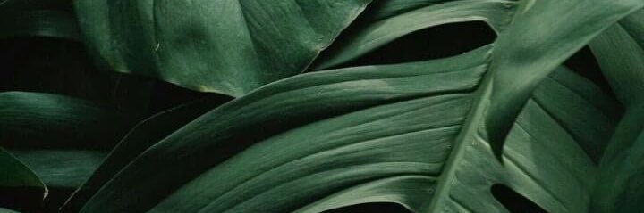 oliveirajohn's profile banner image