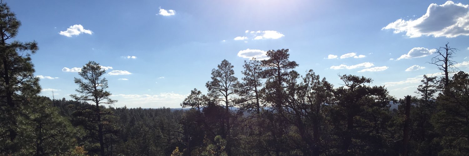 pickleluvrr's profile banner image