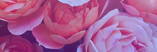 TrishaJoy's profile banner image