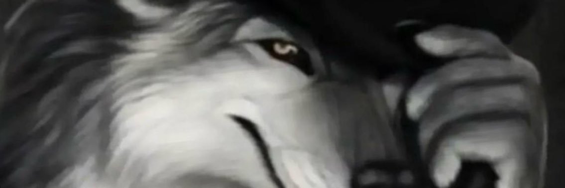 Grey.fullb banner