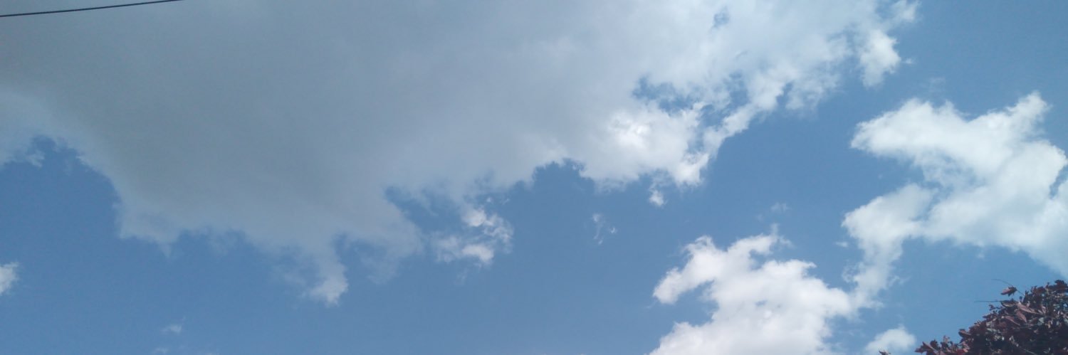 XinYuXppp's profile banner image