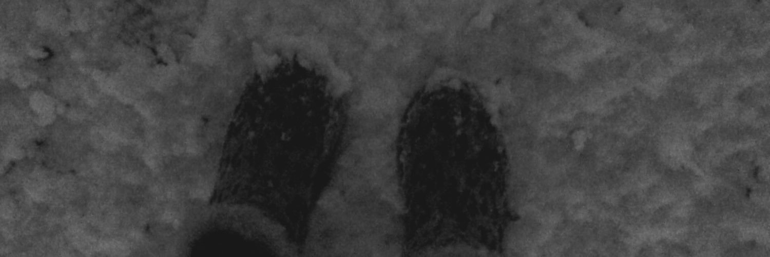 raqelin87's profile banner image