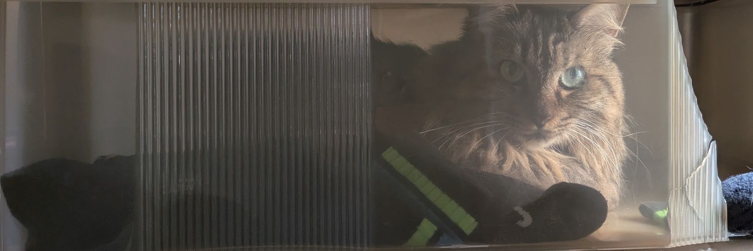 あるぱか じゃぱん代表 banner