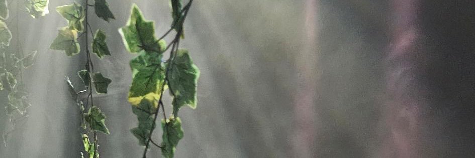 Zahra banner
