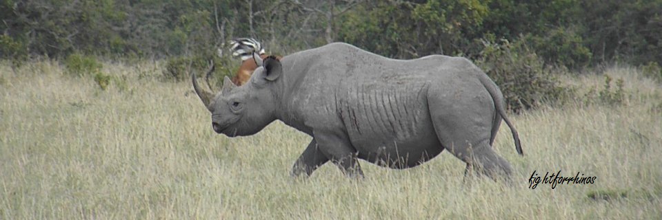 fightforrhinos's profile banner image