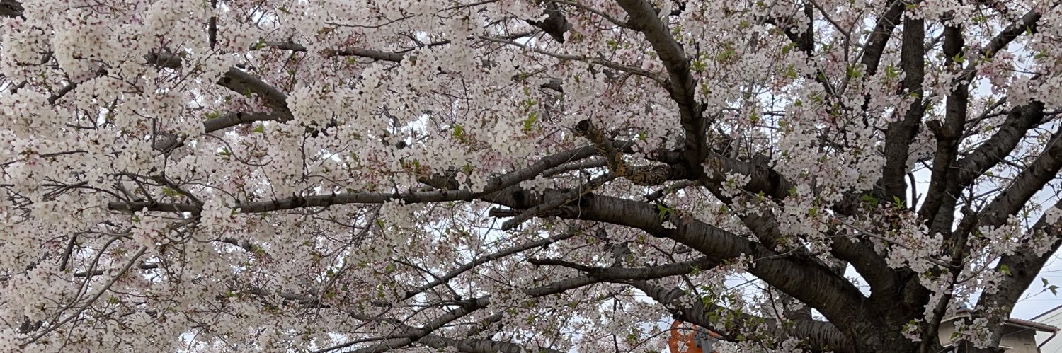 UberGmusic's profile banner image