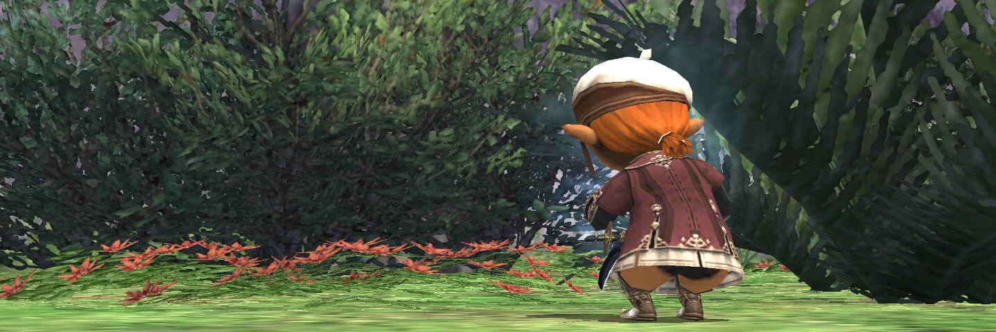 bxhe27's profile banner image