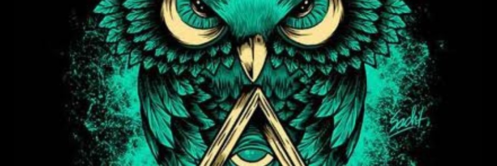 NDomain's profile banner image