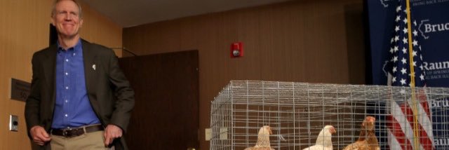 RaunerChicken's profile banner image