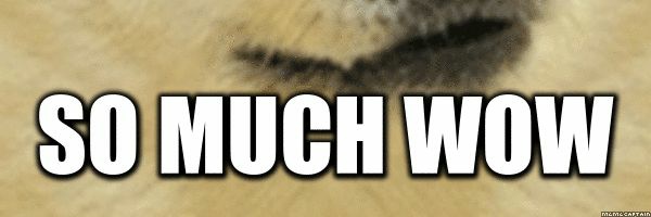 OrientAmaury's profile banner image