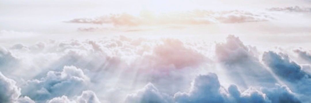 chic_of_citadel's profile banner image