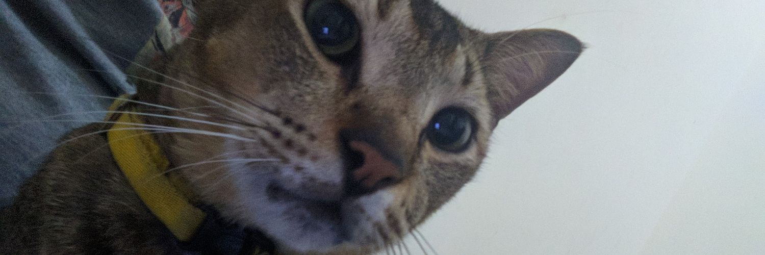 mkamilmistar's profile banner image