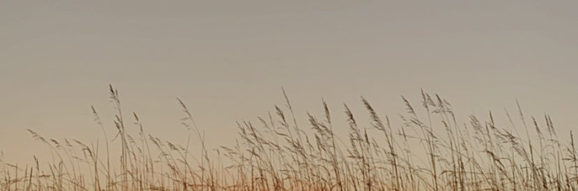 july_third____'s profile banner image