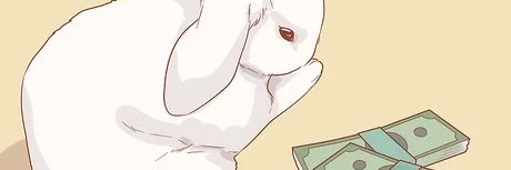 eric the bunny 🐰🐇 banner