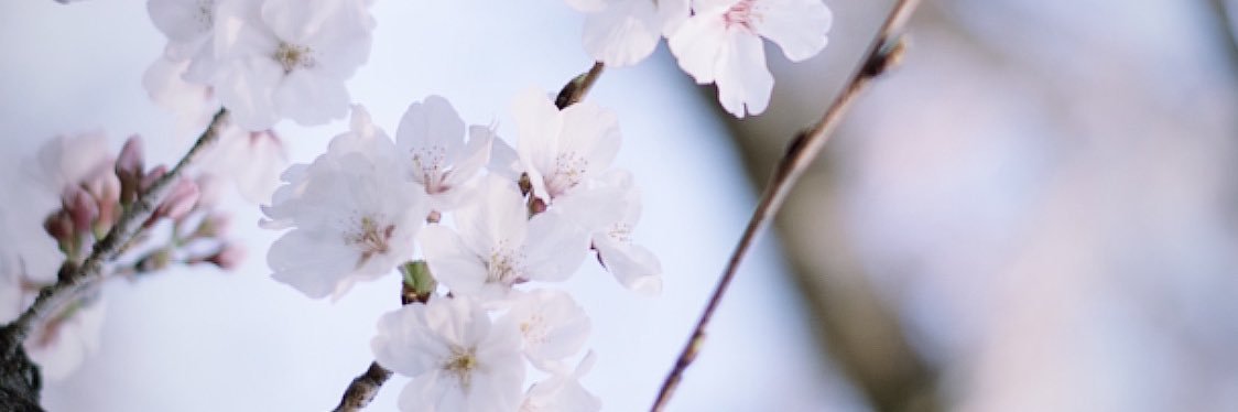 TxMxG's profile banner image
