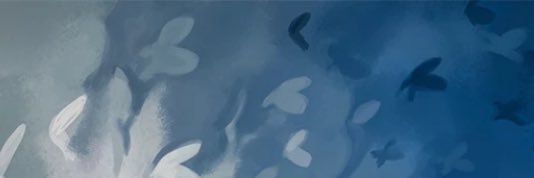 eli ᓚᘏᗢ banner