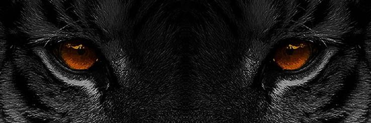 ArEspinozza's profile banner image