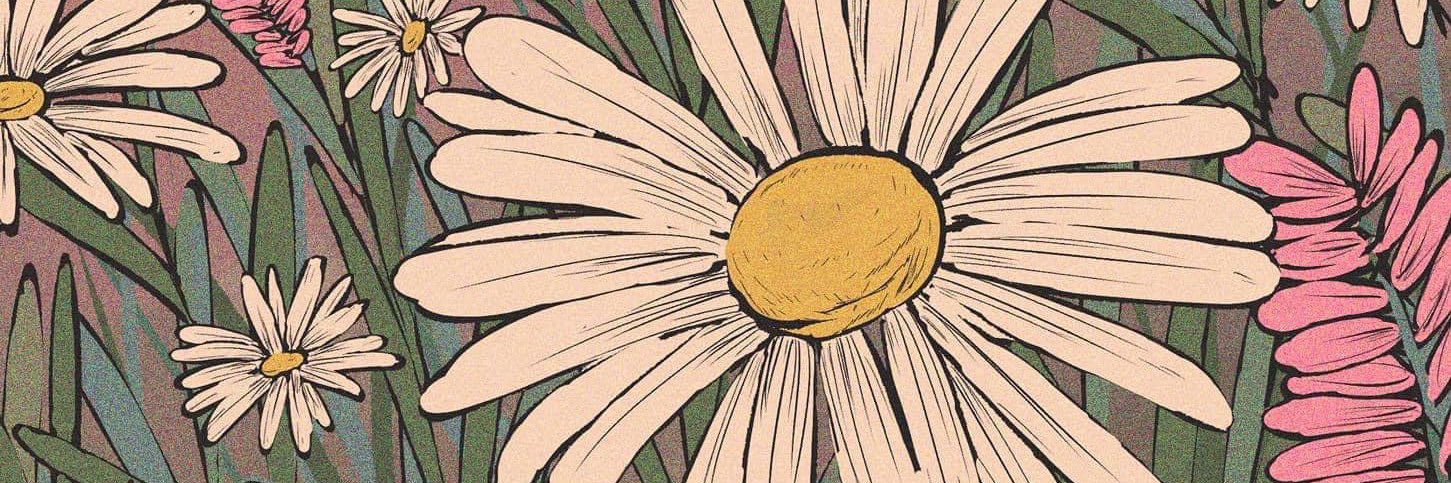 haileyhecks's profile banner image