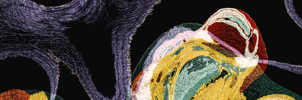 kaosxbt Profile Banner