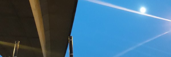 am_trepanning Profile Banner