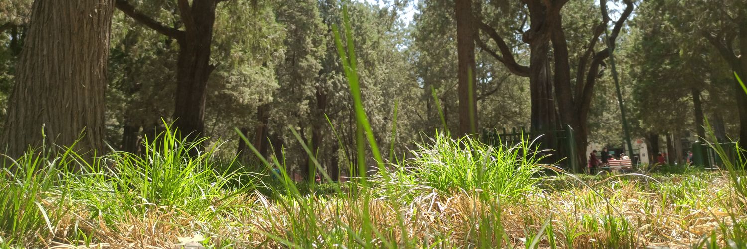 CX9547's profile banner image