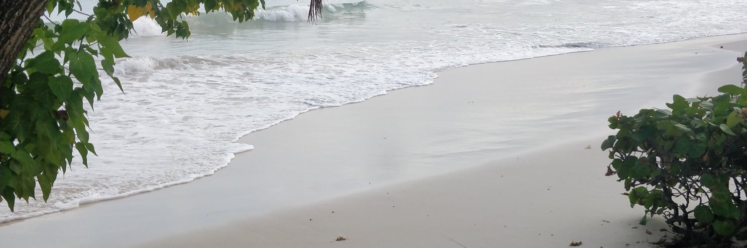 aishamandisa's profile banner image