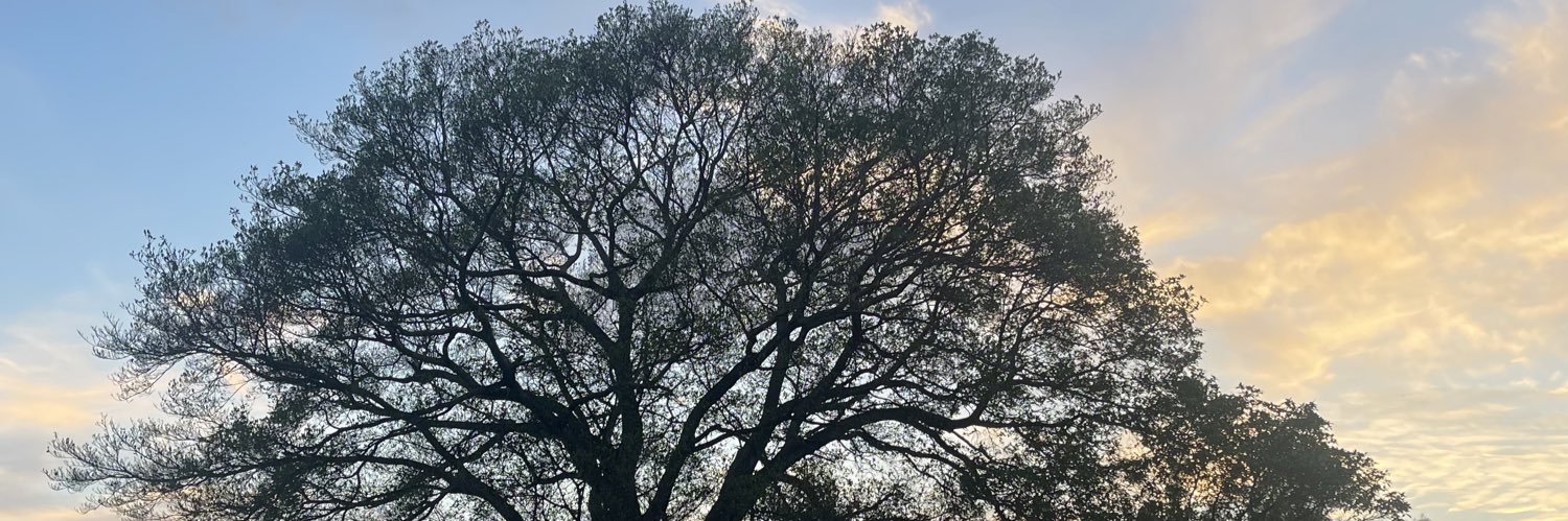 danikeepsitsimp's profile banner image