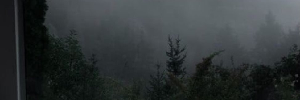 xnyne (Ø,G) banner