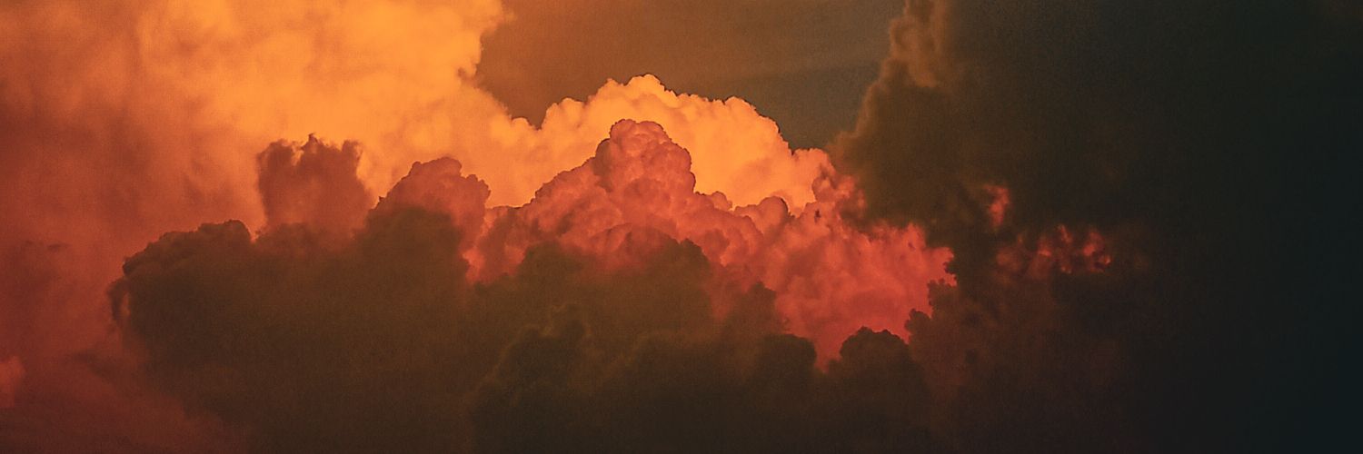 REYN banner