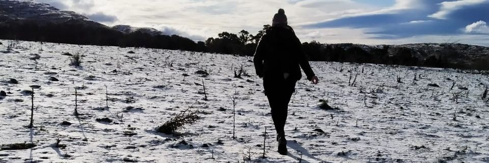 JuliiMiconi's profile banner image