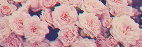 Spaceuwu's profile banner image