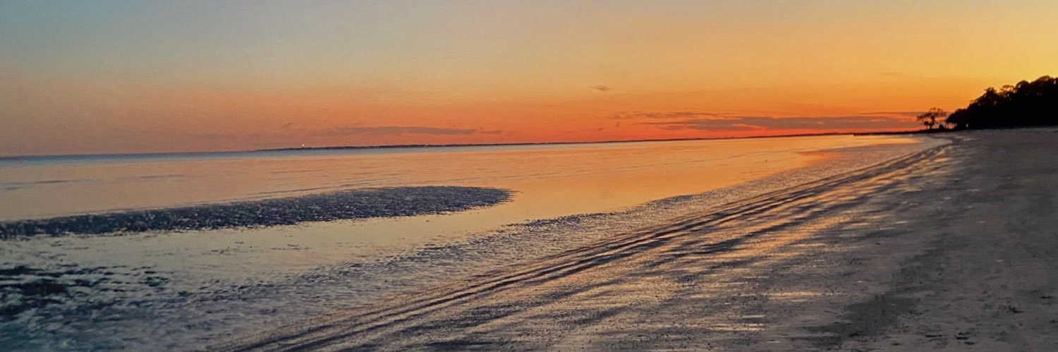 lilydostilio's profile banner image