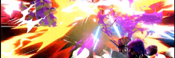captainlsheikah Profile Banner
