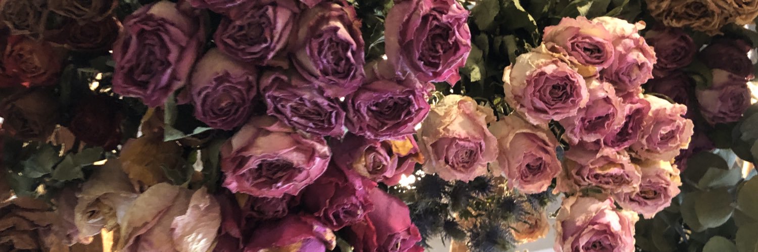tamara_dzodan's profile banner image