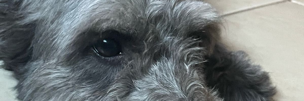 PrincipalRp's profile banner image