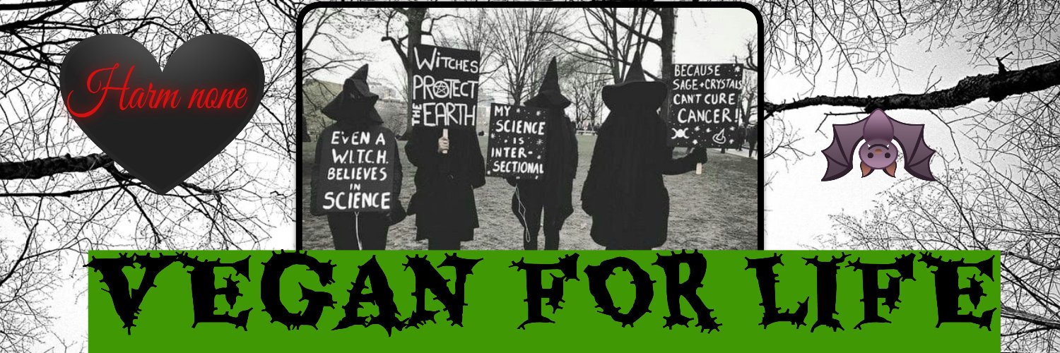 BattyVegan's profile banner image