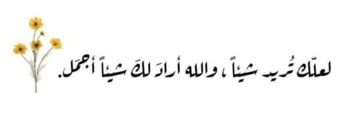 Hadeer_Soliman_'s profile banner image