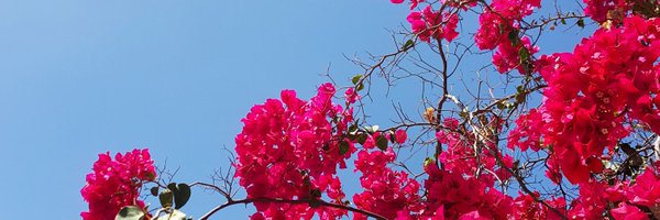 RheaOMFS Profile Banner