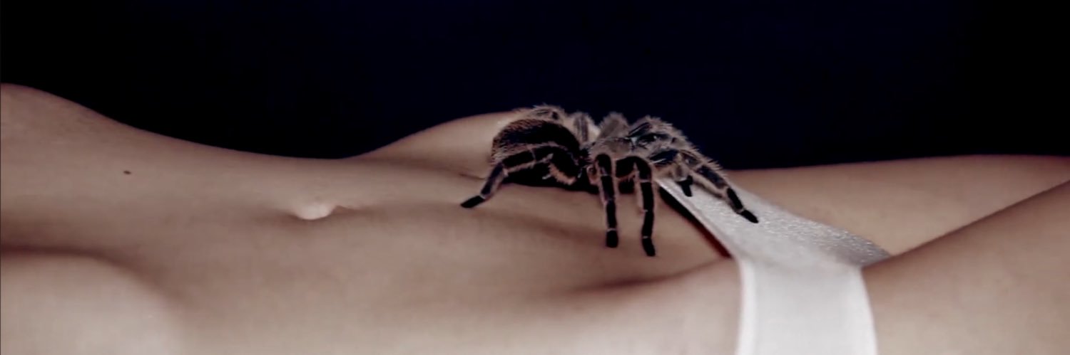 color ☽｡⋆ banner