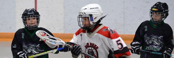 Central Alberta Lacrosse Association banner