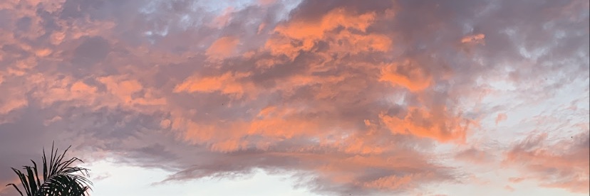 senja_ banner
