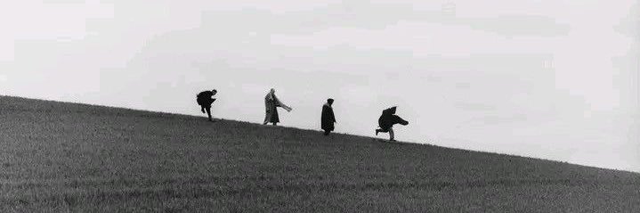 fox ⎕ 🥾🌍 banner