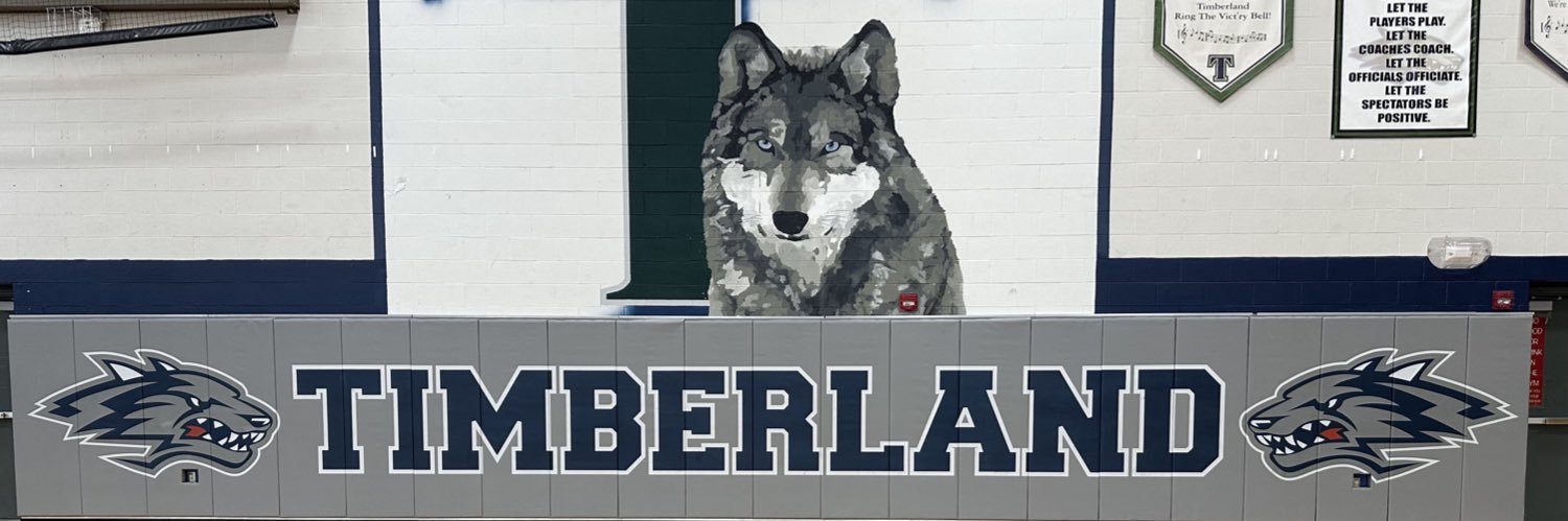 Timberland Girls Basketball banner