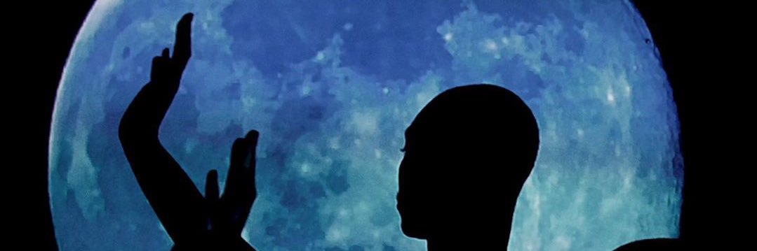 Blockhead?⛑️'s banner