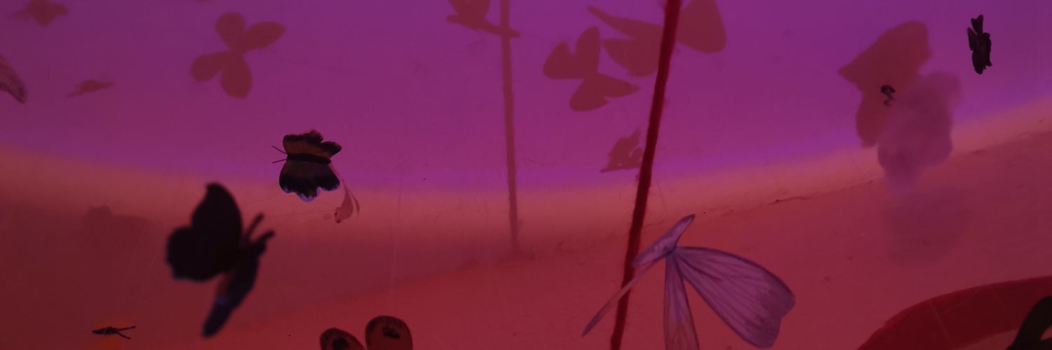 Bimbalov's profile banner image