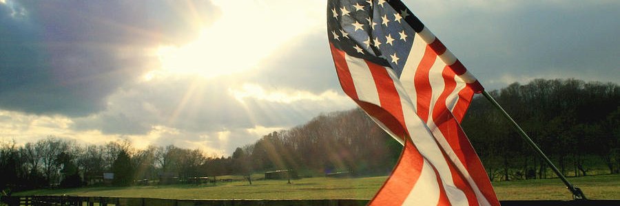 RobertDiCenzo's profile banner image