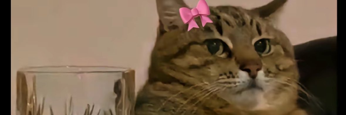 cami24garzon01's profile banner image