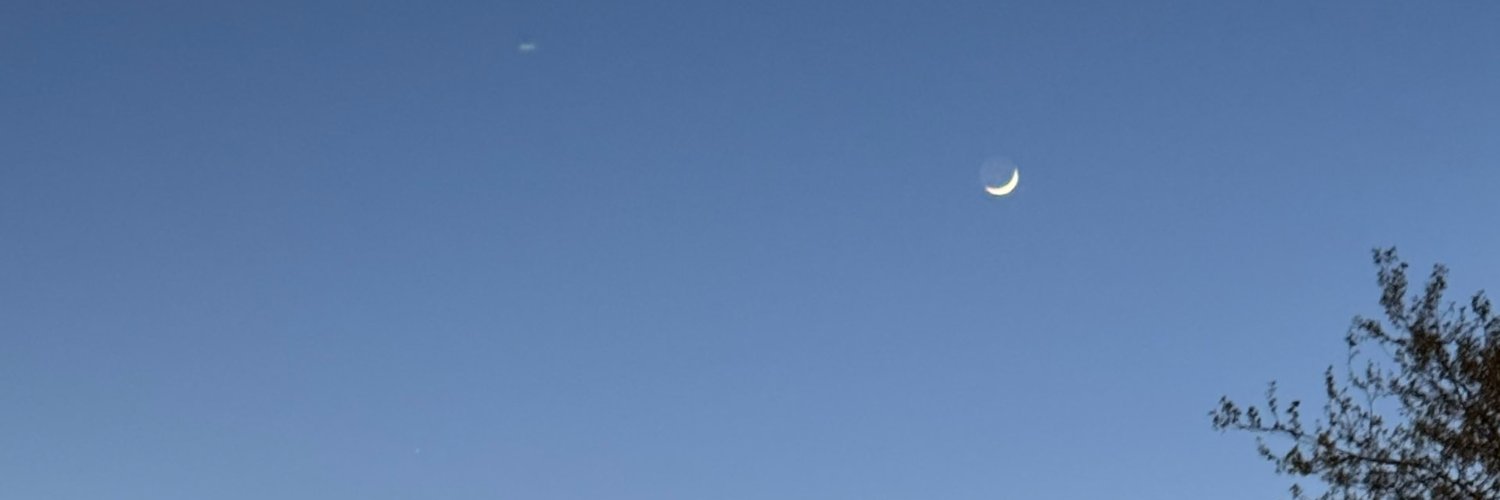 dove tree's banner